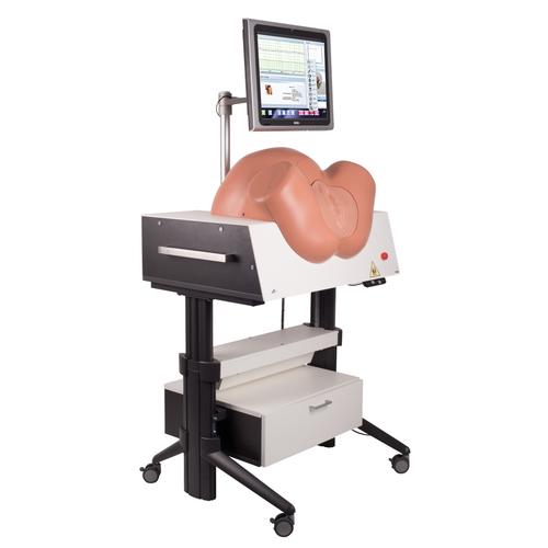 SIMone Simulador de Nacimiento, 1019599 [P80/1], Obstetricia