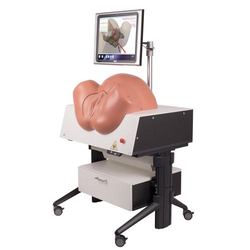 SIMone Simulador de Nacimiento, 1019599 [P80/1], Obstetricia
