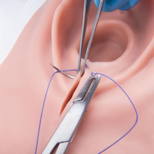 Entrenador de episiotomía y sutura, 1019639 [P95], Obstetricia