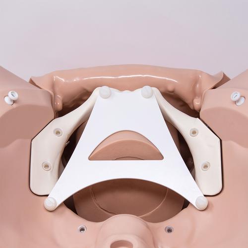 Módulo de formación en sutura de episiotomía para Simulador de Parto P90, 1022212 [P96], Obstetricia