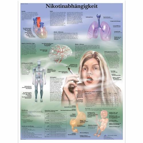 Nikotinabhängigkeit, 1001460 [VR0793L], Educación sobre el tabaco
