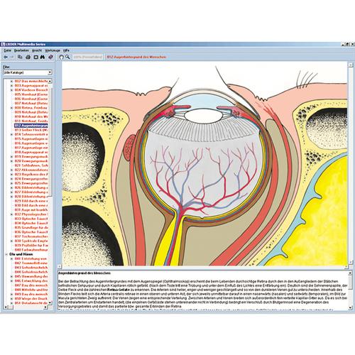 Órganos del sentido como una ventana al mundo, 1004276 [W13507], Software de biología