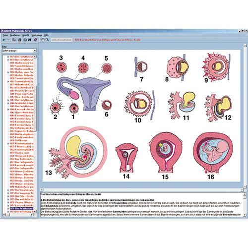 Reproducción y educación sexual, 1004279 [W13510], Software de biología
