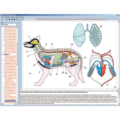 El reino animal (zoología), CD-ROM, 1004292 [W13523], Software de biología