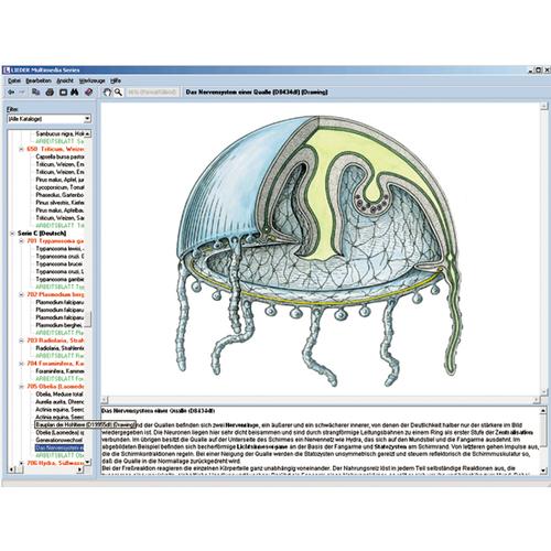 El reino animal (zoología), CD-ROM, 1004292 [W13523], Software de biología