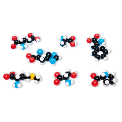 Set de 8 aminoácidos, molymod®, 1005288 [W19712], Modelos moleculares