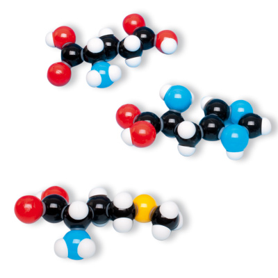 Set de 8 aminoácidos, molymod®, 1005288 [W19712], Modelos moleculares