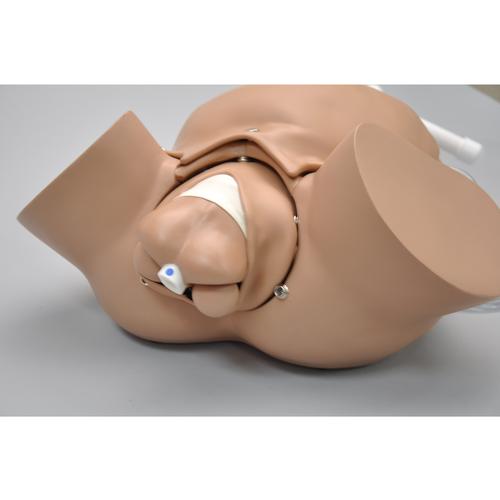 Simulador Susie® OB, 1013558 [W99999-565], Obstetricia