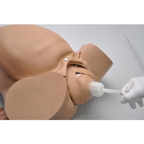 Simulador Susie® OB, 1013558 [W99999-565], Obstetricia