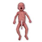 Bebé pretérmino Caucásico / Hombre, 1024669, Simuladores Médicos