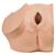 Maniquí ginecológico para la educación de pacientes. - 3B Smart Anatomy, 1013705 [P53], Educación sexual (Small)