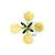 Flor de la mostaza de campo (Sinapis arvenis), modelo, 1017831 [T210121], Plantas dicotiledóneas (Small)