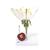 Flor de cerezo con fruto (Prunus avium), modelo, 1020125 [T210191], Plantas dicotiledóneas (Small)