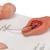 Modelo de las fases del parto - 3B Smart Anatomy, 1001259 [VG393], Modelos de Embarazo (Small)
