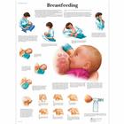 Breastfeeding, 4006706 [VR1557UU], Informações sobre a paternidade