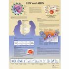 Pôster HIV e AIDS, 4006722 [VR1725UU], Educação sexual e infomação sobre drogas