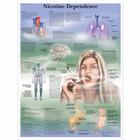 Nicotine Dependence, 4006728 [VR1793UU], Informações sobre o tabaco