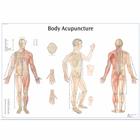 Body Acupuncture, 4006730 [VR1820UU], Modelos