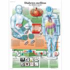 Le diabète, 1001721 [VR2441L], Sistema metabólico
