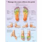 Massage des zones réflexes
des pieds, 4006811 [VR2810UU], Acupuntura
