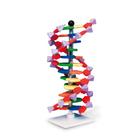 Estrutura e função do DNA