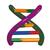 Modelo de doble hêlice de ADN, Kit para alumnos, 1005300 [W19780], Constitución y Función del ADN (Small)