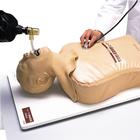 Simulador de intubación endotraqueal, 1005396 [W30508], Gestión de las vías respiratorias del adulto