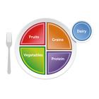 Placa MyPlate, 1018316 [W44791], Educação: Distúrbios Alimentares e Obesidade